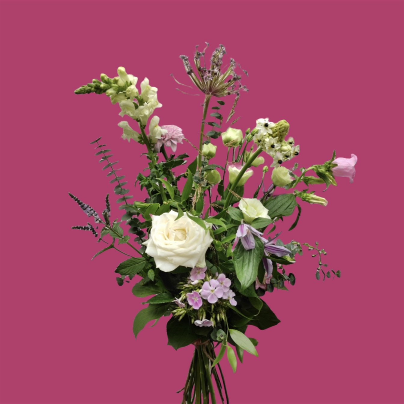 Boeket Herman Boerhaave